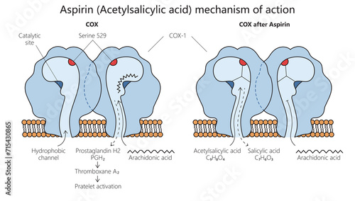 acetylsalicylic acid aspirin mechanism of action diagram hand drawn schematic raster illustration. Medical science educational illustration