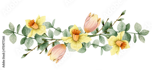 Watercolor illustration composition with tulips, narcissus flowers, eucalyptus, willow. Isolated on white background. Hand drawn clipart. Perfect for card, postcard, tags, invitation, printing, wrap.
