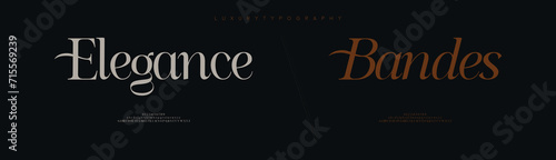 Elegance bandes, elegant alphabet letters font logo typography luxury classic lettering serif italic fonts decorative wedding vintage retro logos vector illustration 