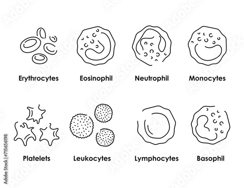 Blood cells color icons set. White blood cells, erythrocytes, platelets