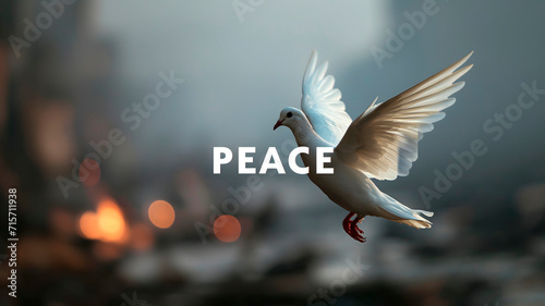 Paloma blanca como símbolo de la paz 