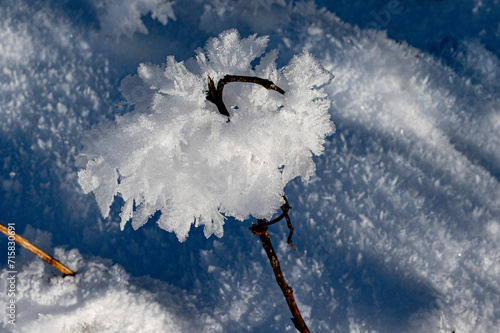 Das schöne Detail am winterlichen Bach - Ein Konglomerat aus Eiskristallen
