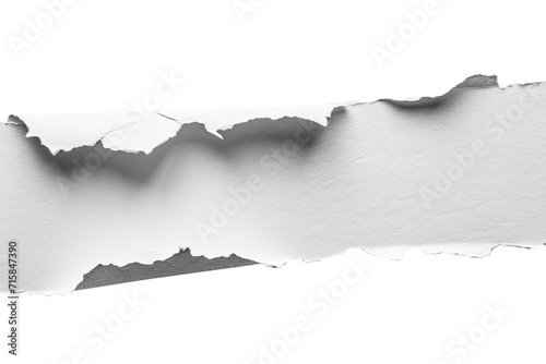 Ripped paper tear from notebook or sheet isolated on transparent png background, cutout paper, blank note piece,