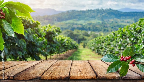 base de madeira com frutas e folhas de café, em frente a um produtivo cafezal, agricultura