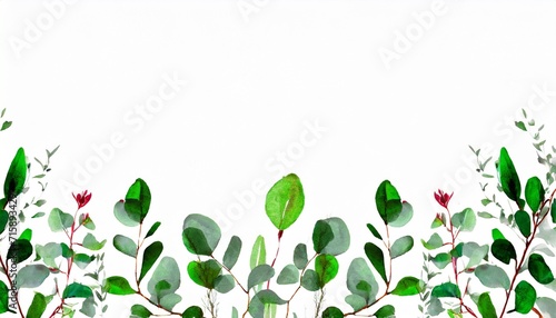 watercolor botanic leaf and buds herbal composition for wedding or greeting card spring border with leaves eucalyptus