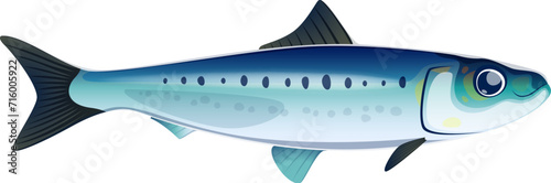 Cartoon sardine fish character. Sea wildlife, ocean animal, fishing catch isolated vector personage. Aquatic life, underwater nature cute cheerful mascot or sardine comical character