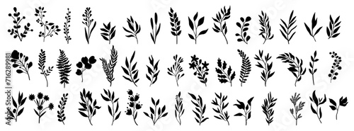 Set of leaves silhouette of beautiful plants, leaves, plant design. Vector illustration .