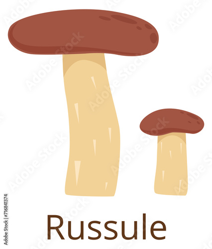 Brown cap russule. Mushroom icon. Forest fungus