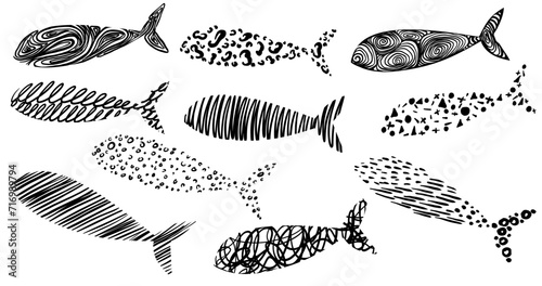Set of sardines fish vintage hand drawn ink vector illustration. 