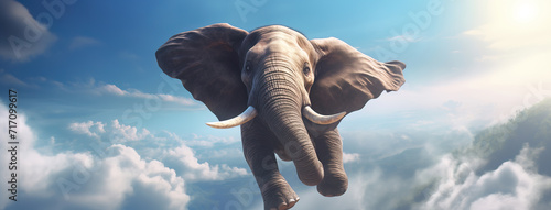 Elephant Flying in the Clouds