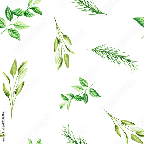 Watercolor seamless pattern with aromatic herbs. Illustrations of fresh rosemary, mint, sage isolated on background. Detail of beauty products and botany set, cosmetology and medicine. For d