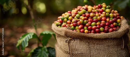 Keith Levit captured a photograph of a bag of kina coffee in Hawaii.