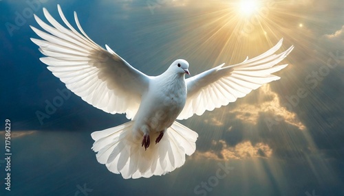 Majestic White Dove, a Symbol of Peace and the Holy Spirit 