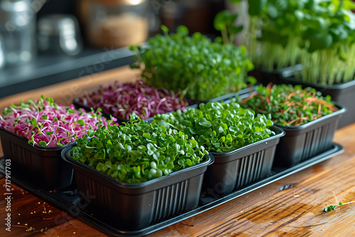 microgreens, cultivation of microgreens, Concept of home gardening