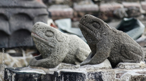 Frogs and snake head sculptures in Aztec temple (Templo Mayor) at Tenochtitlan ruins - Mexico City, Mexico