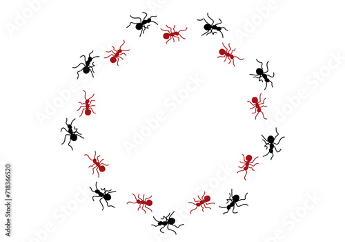 Icono de hormigas haciendo un recorrido circular.