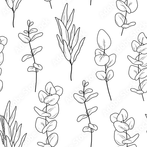 Hand drawn vector monochrome seamless pattern with eucaliptus branches. Vector line illustration with eucalyptus leaves isolated on white background
