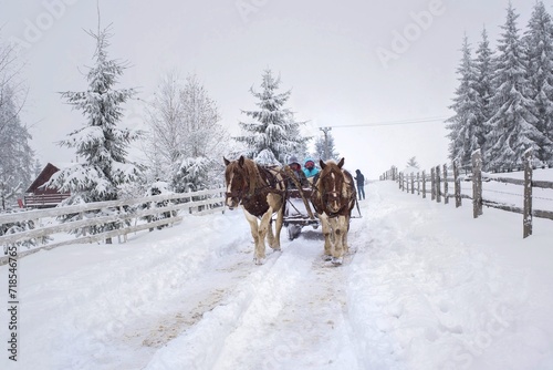 Horses Leading Cart Field Covered Snow Countryside 1