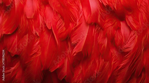 Bright red feather. Abstract textured background from bird plumage. Cabaret, holiday. Banner. Close-up