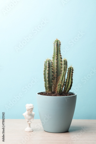 Cactus pot and Venus bust on the table. Home decor