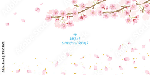 桜の花と花吹雪の背景イラスト 