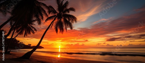 With selective focus, a stunning view of a dramatic sunset serves as the backdrop, while the silhouette of coconut palm trees captivate in the foreground on White Beach.