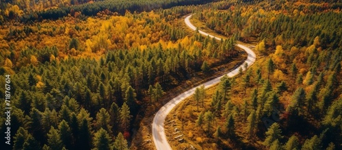 Aerial view of winding gravel road and colourful forest