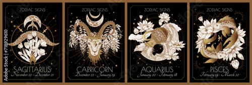 Vector set of the 4 second zodiac signs in flowers. Gold on a black background. Sagittarius, Capricorn, Aquarius, Pisces