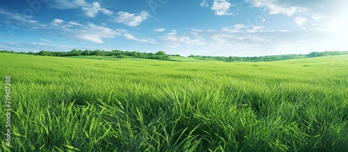 Landscape view of green grass on slope with blue sky and clouds background.