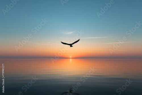 Seagull on sunrise, minimalistic silhouette of a bird flying over the horizon at dawn, Silhouette of a seagull