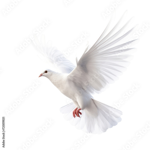  a flying white dove of peace on transparency background PNG