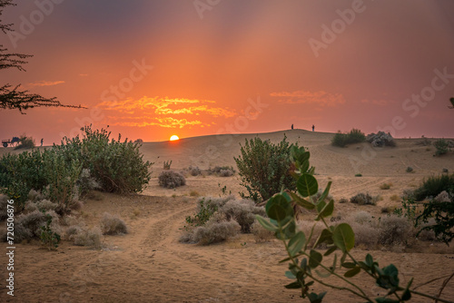 View during sunrise at great thar desert in Jaisalmer, Rajasthan, India.