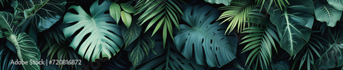 Background from palm leaves. Sleek dark tropical leaves wallpaper, perfect for a sophisticated and modern botanical look