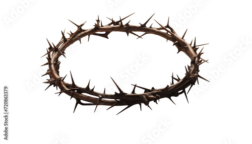crown of thorns of jesus