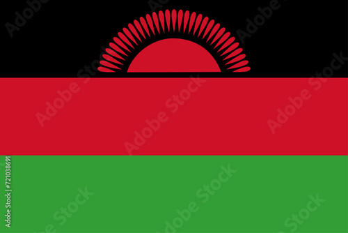 Malawi with brush paint textured isolated on png or transparent background vector illustration