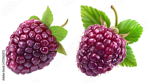 Loganberry with leaf isolated on transparent background.