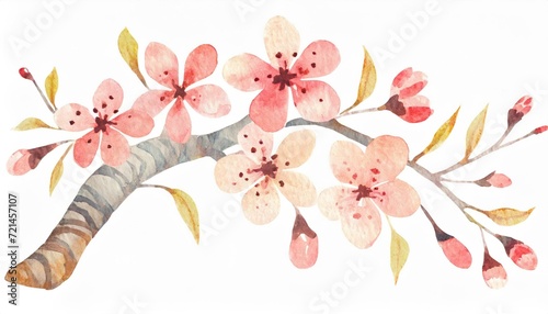 水彩風の桜の花