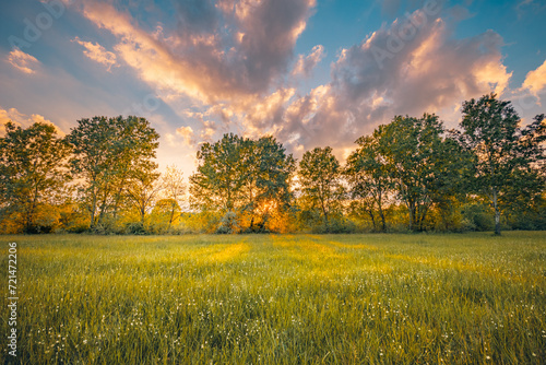 Beautiful spring landscape. Sunset colorful sky with fantasy fluffy clouds over green foliage peaceful field. Tranquil springtime nature. Sunrays warm sunlight natural white wildflowers forest meadow