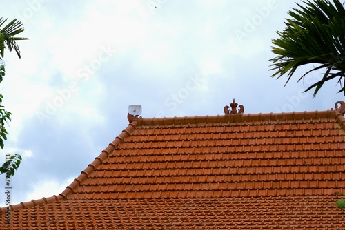 roof of the old house