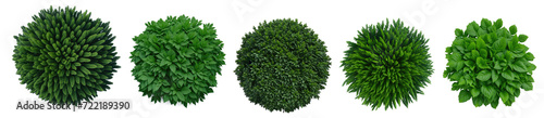 Top view of various decorative green bush or shrub plants isolated on transparent background. Generative AI 