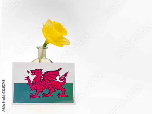 St Davids Day Dewi Sant Patron Saint of Wales Welsh flag and daffodil isolated on a white background