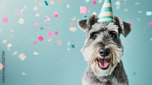 Happy gray miniature schnauzer wearing a light blue party hat, with its mouth open in a joyful expression, surrounded by colorful confetti against a teal background.