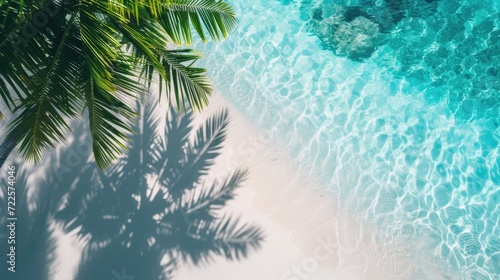 palm leaf beach with seashore pure water sea and white sand. top view of water surface with tropical leaf shadow. Shadow of palm leaves on white sand beach. Beautiful background 