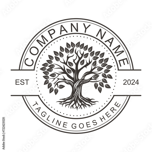 Root Leaf Family Tree of Life Oak Banyan Maple Stamp Seal Emblem Label logo design vector