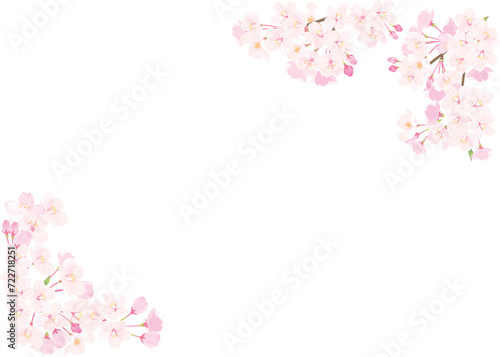 桜 背景イラスト