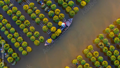 Aerial view of Sa Dec flower garden in Dong Thap province, Vietnam. It's famous in Mekong Delta, preparing transport flowers to the market for sale in Tet holiday.