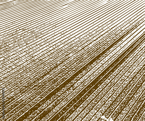 textured overlay crop rows effect