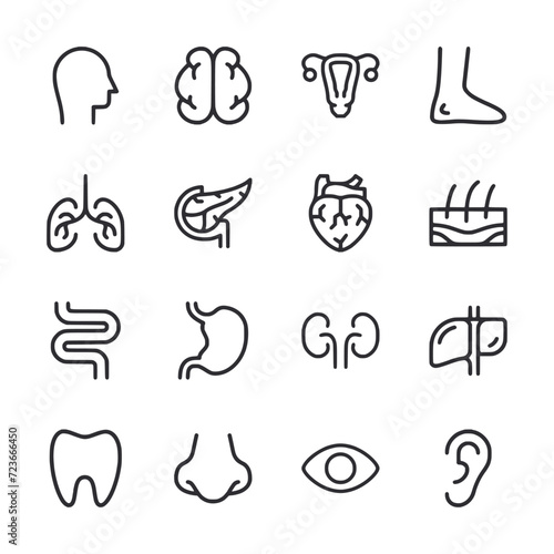 set of icons human organs