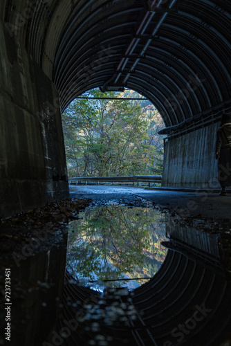 日本 静岡県川根本町の寸又峡の夢の吊り橋に続くトンネル