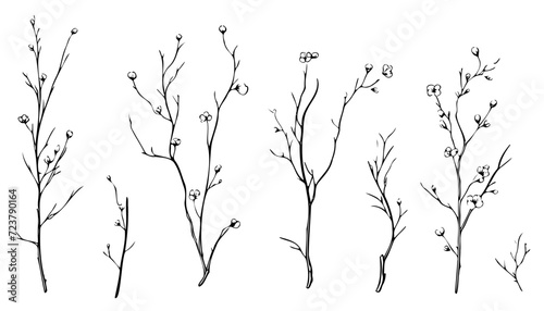 Tree branch engraving. Hand drawn forest twigs. Dry wood log and lumber rustic graphic templates. Natural spring elements set. Vector black and white drawing plant trunks